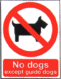 No dogs except guide dogs